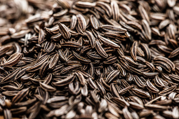 Cumin seeds texture, full frame background