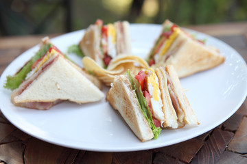 Club sandwich with on wood background