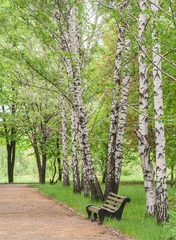 Tuinposter houten bankje in het park © Ryzhkov Oleksandr