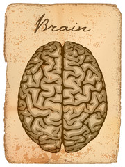 Old manuscript with illustration of human brain.