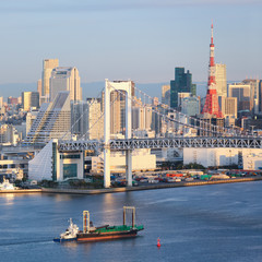 Naklejka premium Tokyo Skyline