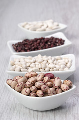 different type of beans