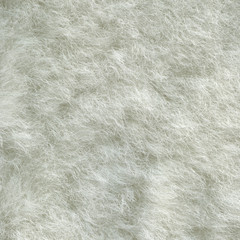 Sheep fur