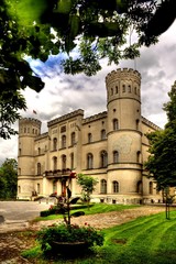 Fototapeta na wymiar Rokosowo zamek w Polsce