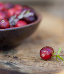Fresh red cranberries in bowl. One berry separated with leaves
