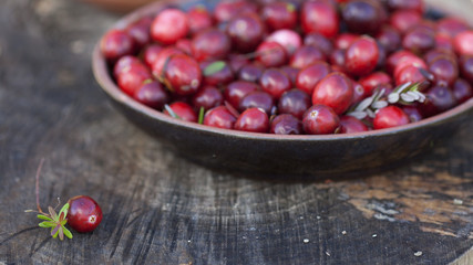 Fresh red cranberries in bowl. One berry separated with leaves