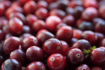 Fresh red cranberries in a shallow bowl. Leaves. Horizonal