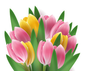 Tulip bouquet