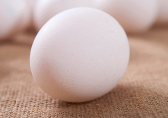 egg