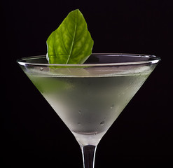 basil martini