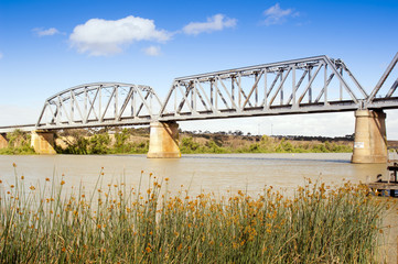 Murray Bridge