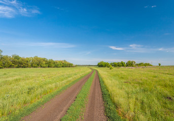 Fototapeta na wymiar droga krajowa w polu latem