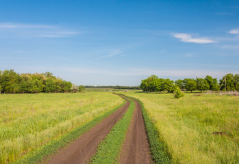 Fototapeta na wymiar droga krajowa w polu latem