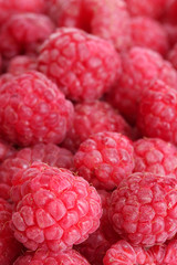 ripe raspberries background.