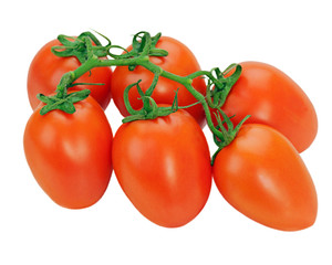 tomatoes on the vine isolated on white background
