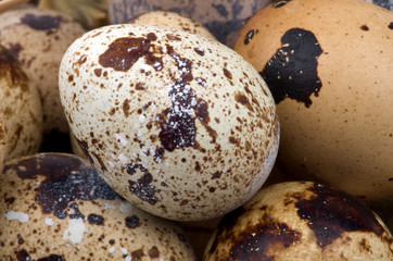 Quail Eggs