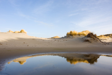 Dunes and beach grass reflected in fresh water pool