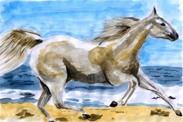 illustration water color horse