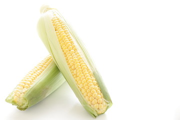 freshness corn from Japan for summer ingredient image © jreika