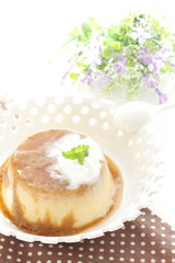 homemade custard pudding with flower on blackground