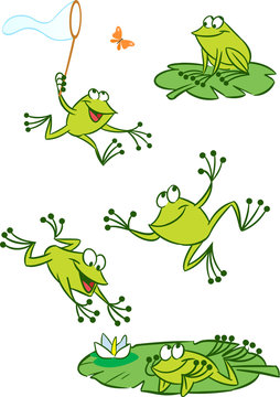 few green frogs
