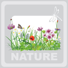 Green grass and flowers, landscape natural, banner in vector art