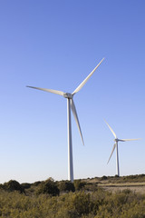 Wind Turbine Field; or windmill or wind pump.