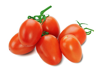 red tomatoes on the vine isolated on white background