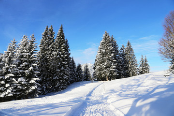 Winter - Schnee - Berge