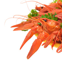 Boiled crayfish with parsley