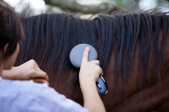 L-Cheval