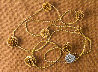 jewelry on the white background