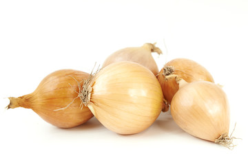 Onions (Allium cepa)