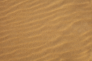 Fototapeta na wymiar Waves in the Sand
