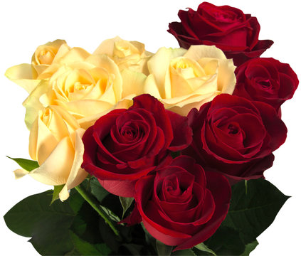 Beautiful red and yellow roses