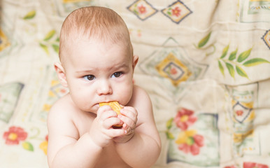 little child eating biscuit