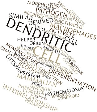 Word cloud for Dendritic cell