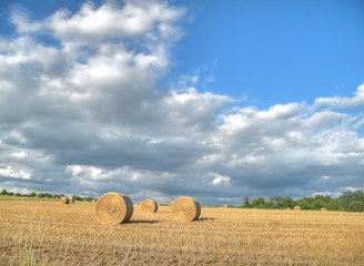 Rundballen auf einem Getreidefeld