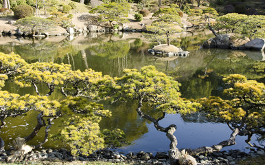 Japanese garden