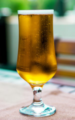 Glass of freshly poured beer on a table
