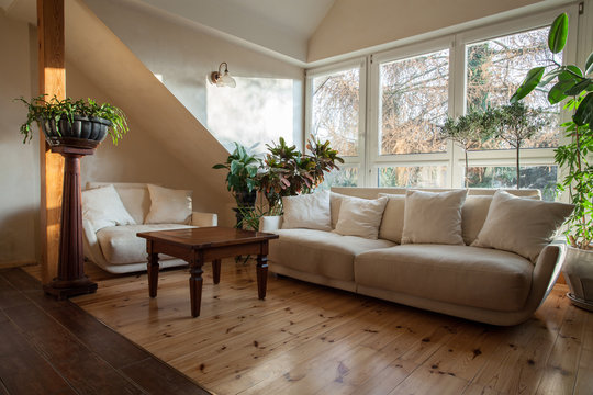 Cloudy home - bright attic with huge sofa and plants