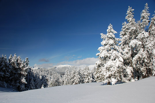 Paisaje nevado