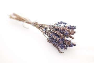 Bunch of dried lavender on white