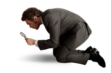 Business search