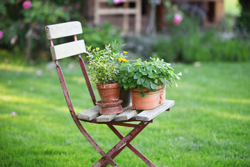 Sessel im Garten und Wiese