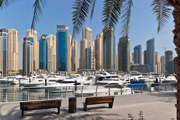 Fototapeta premium Dubai Marina with Palms