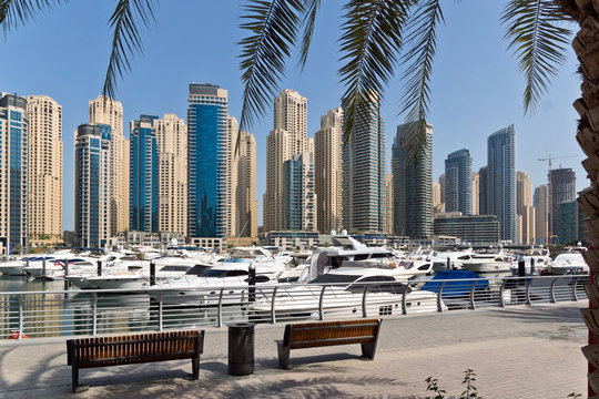 Dubai Marina with Palms