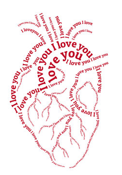 red human heart, vector