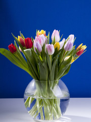 Bunte Tulpen in Vase