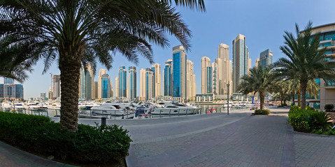 Fototapeta premium Dubai Marina with Palms